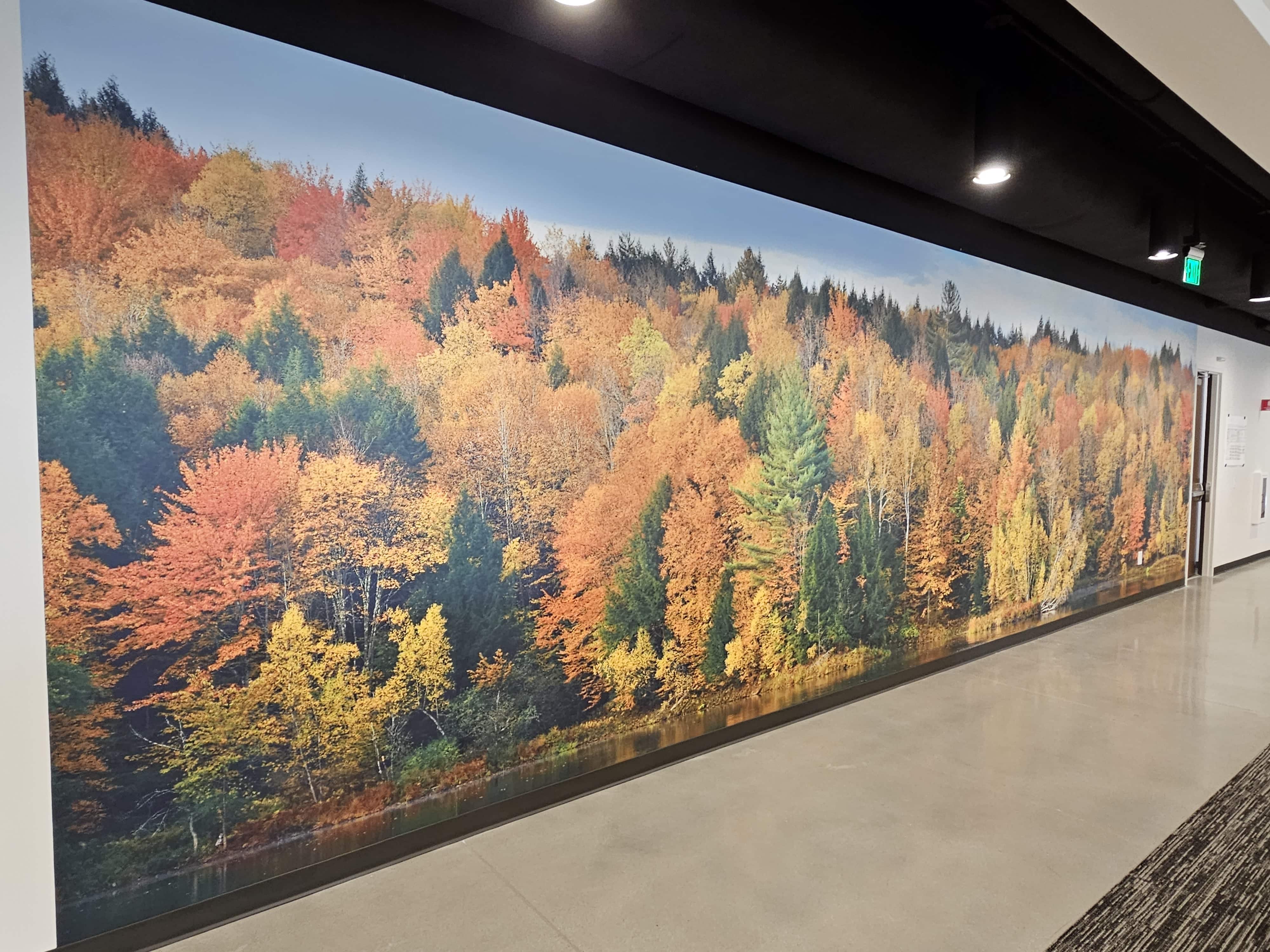 Wall Covering Architectural Film Forest Scene