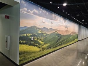 Wall Covering Architectural Film Field Scene 