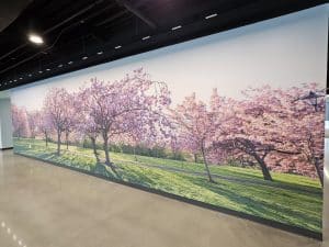 Wall Covering Architectural Film Cherry Blossom Scene 