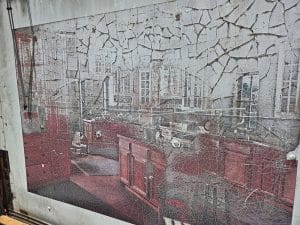 Vehicle Wrap Removal