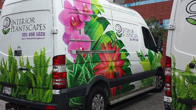 img-truck-wrap-interior-plantscapes