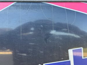 Vehicle Wrap Removal